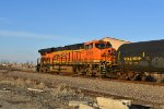 BNSF 6793 Roster shot